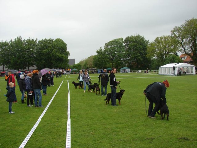 World Show 4