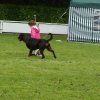 World Show 4