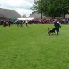 World Show 4