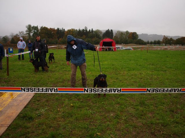 Schweiz 2012 lørdag