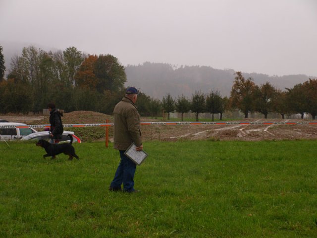 Schweiz 2012 lørdag