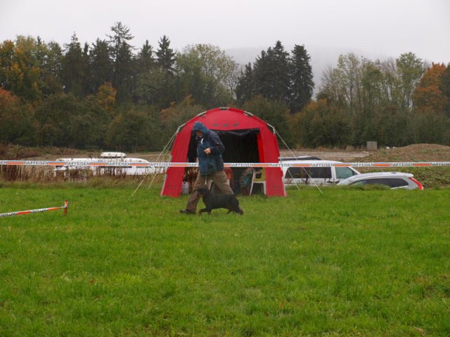 Schweiz 2012 lørdag