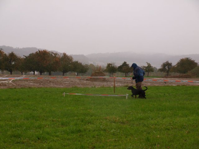 Schweiz 2012 lørdag