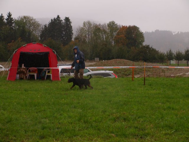 Schweiz 2012 lørdag
