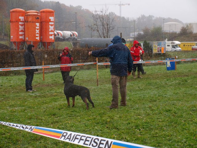 Schweiz 2012 lørdag