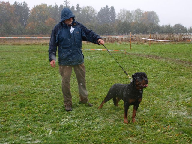 Schweiz 2012 lørdag