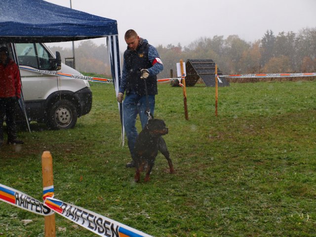 Schweiz 2012 lørdag