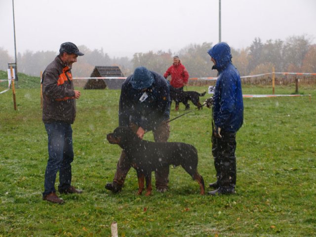 Schweiz 2012 lørdag