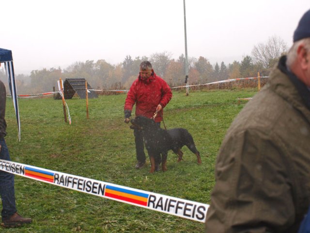 Schweiz 2012 lørdag