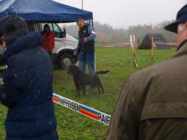 Schweiz 2012 lørdag