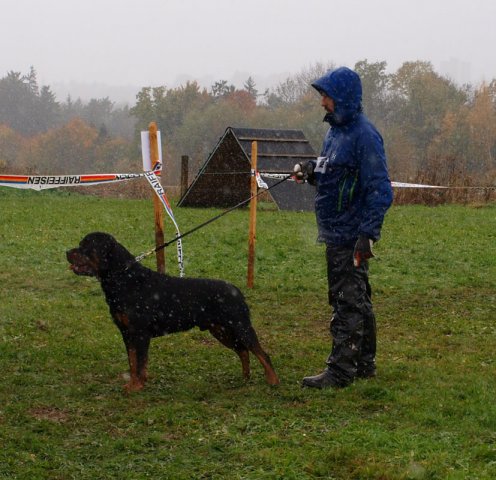 Schweiz 2012 lørdag