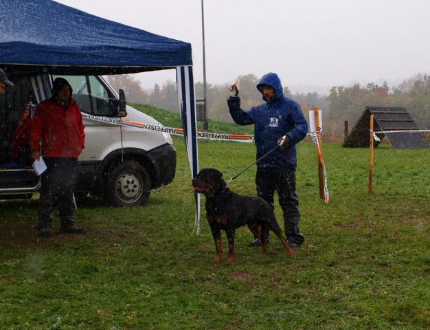 Schweiz 2012 lørdag