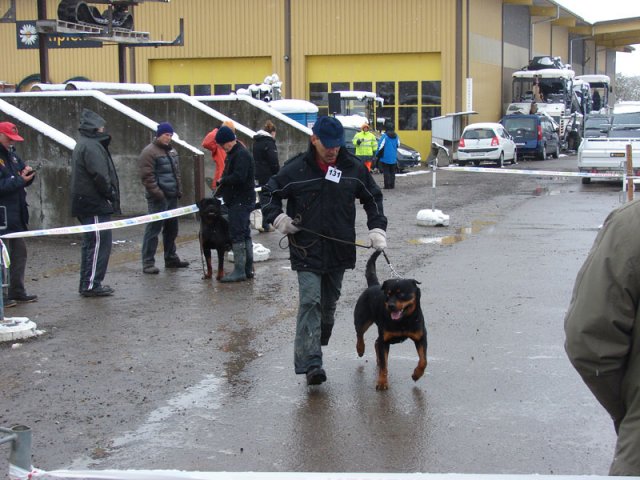 Schweiz 2012 Søndag