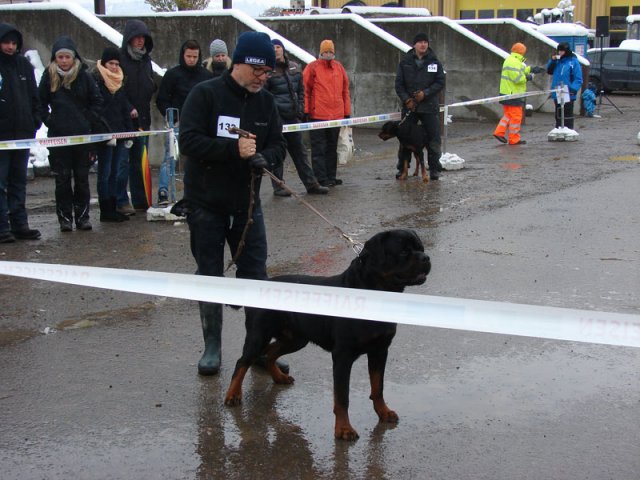 Schweiz 2012 Søndag