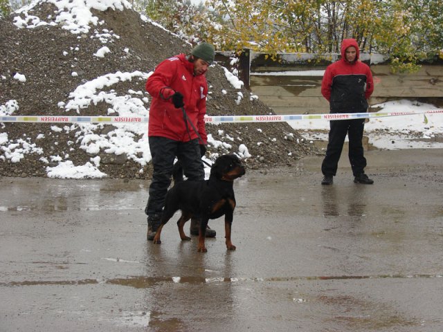 Schweiz 2012 Søndag