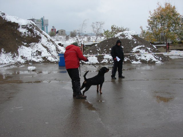 Schweiz 2012 Søndag