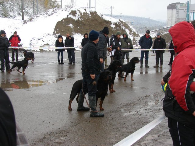 Schweiz 2012 Søndag