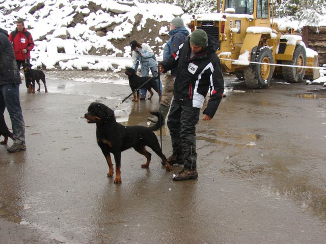 Schweiz 2012 Søndag