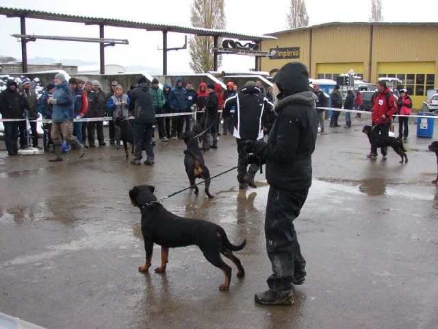 Schweiz 2012 Søndag