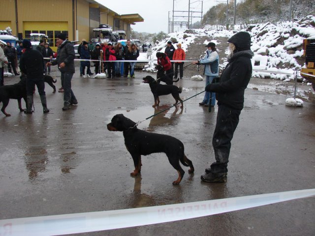 Schweiz 2012 Søndag