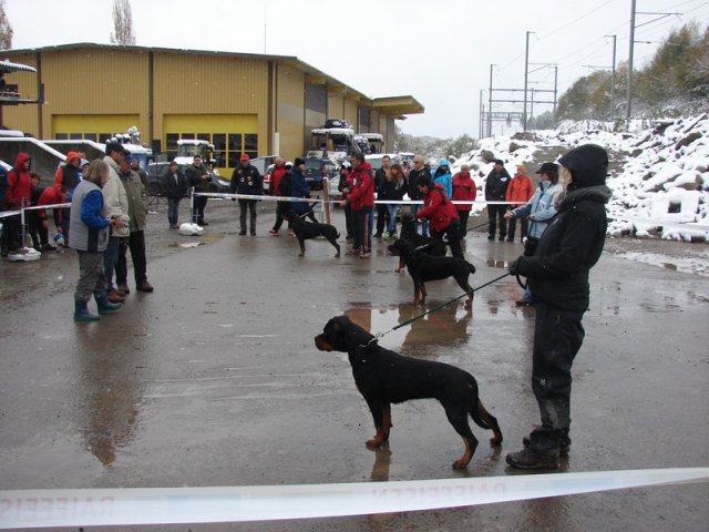 Schweiz 2012 Søndag