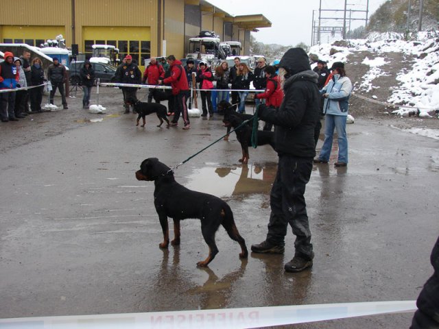 Schweiz 2012 Søndag