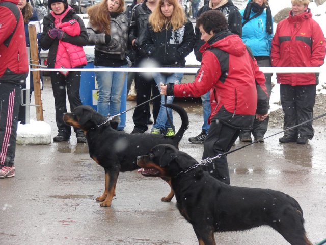 Schweiz 2012 Søndag