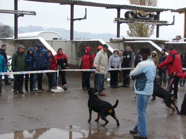 Schweiz 2012 Søndag