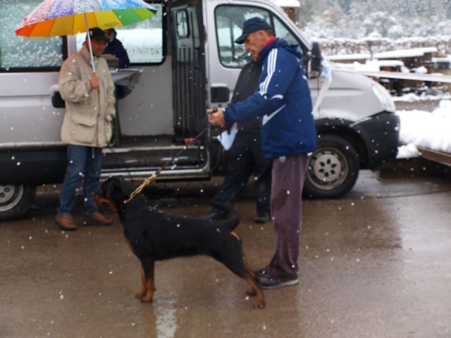 Schweiz 2012 Søndag