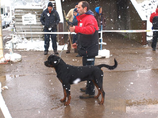 Schweiz 2012 Søndag