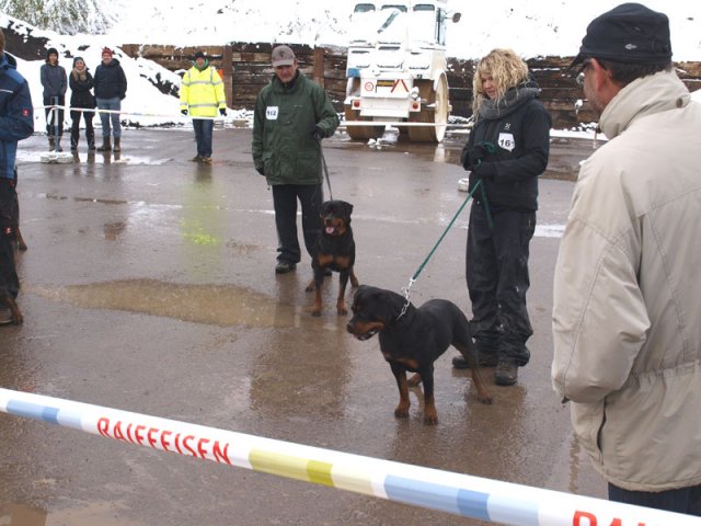 Schweiz 2012 Søndag