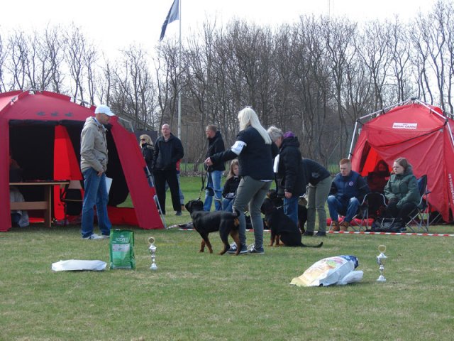 Ishøj 2013