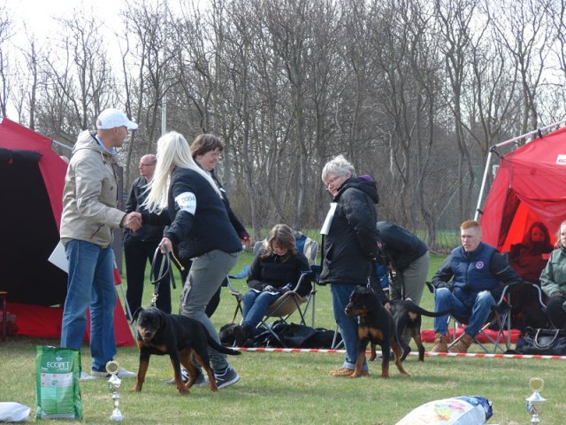 Ishøj 2013
