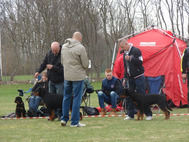 Ishøj 2013