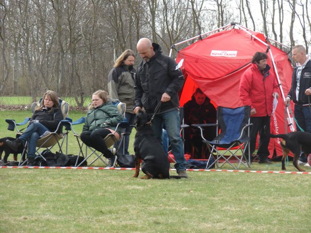 Ishøj 2013