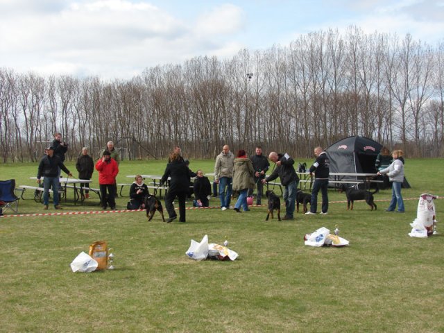 Ishøj 2013