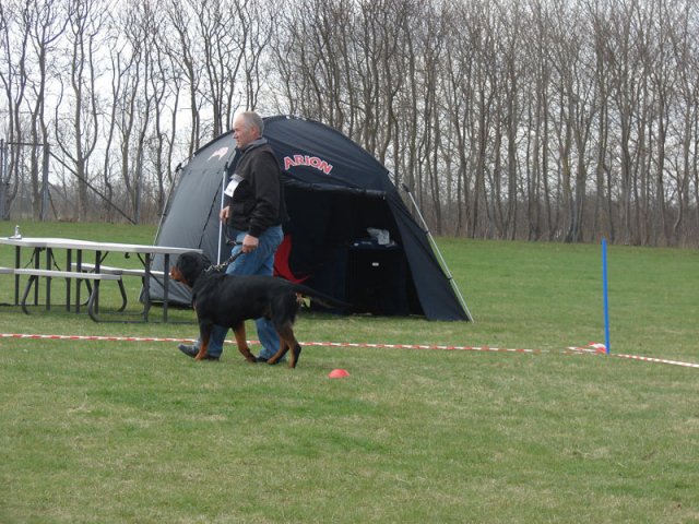 Ishøj 2013