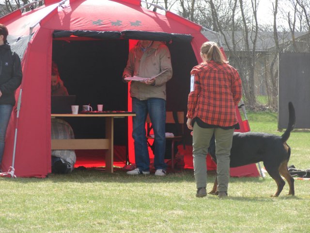 Ishøj 2013