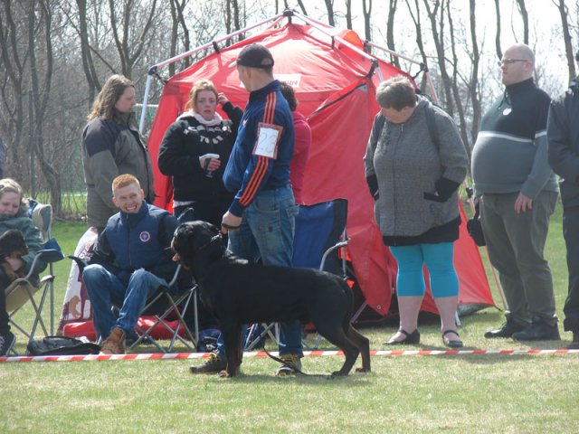 Ishøj 2013