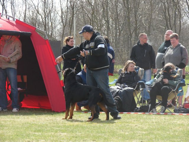 Ishøj 2013