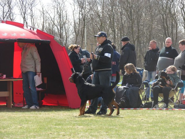 Ishøj 2013
