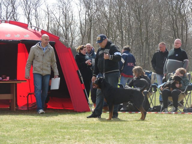 Ishøj 2013