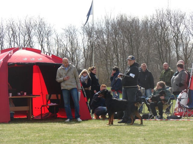 Ishøj 2013