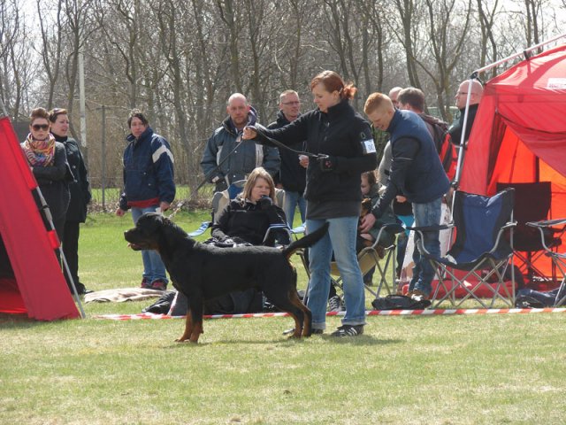 Ishøj 2013