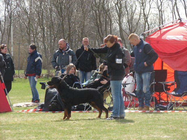 Ishøj 2013