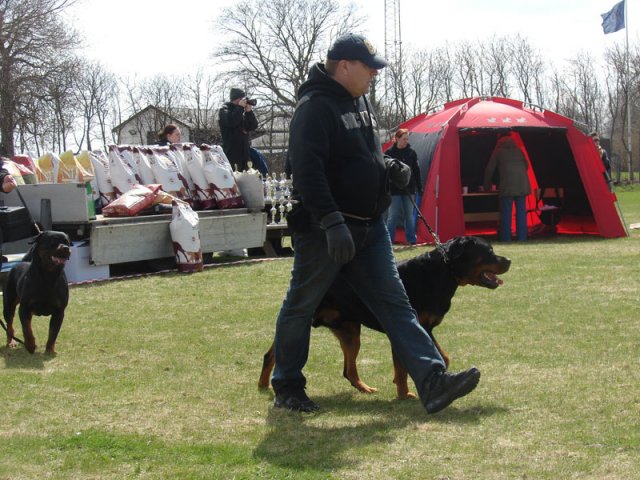 Ishøj 2013