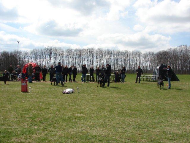 Ishøj 2013