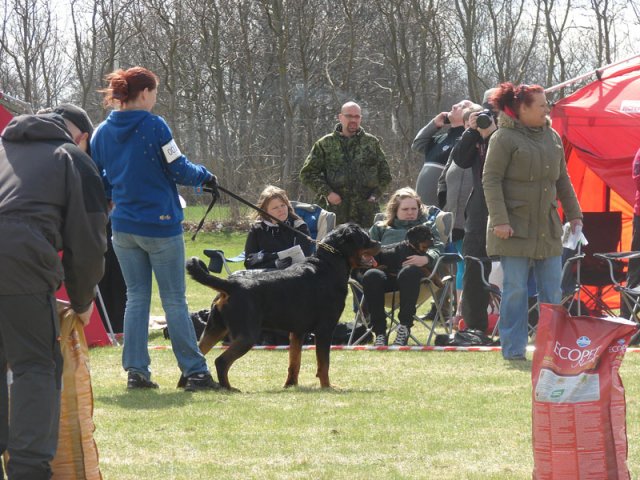 Ishøj 2013