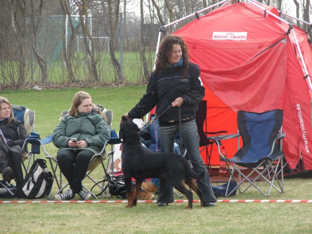 Ishøj 2013
