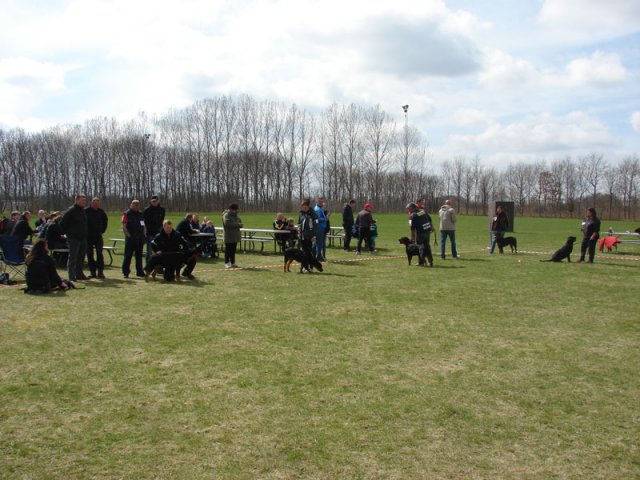 Ishøj 2013